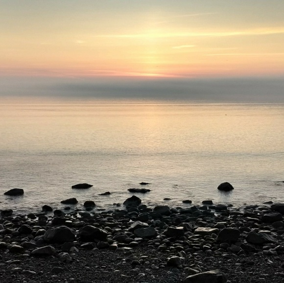 Meet your Posher, Joani - Picture 4 of 8